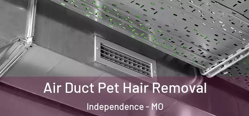 Air Duct Pet Hair Removal Independence - MO