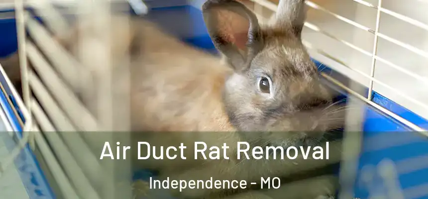  Air Duct Rat Removal Independence - MO