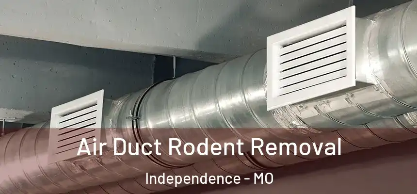  Air Duct Rodent Removal Independence - MO