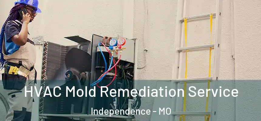  HVAC Mold Remediation Service Independence - MO