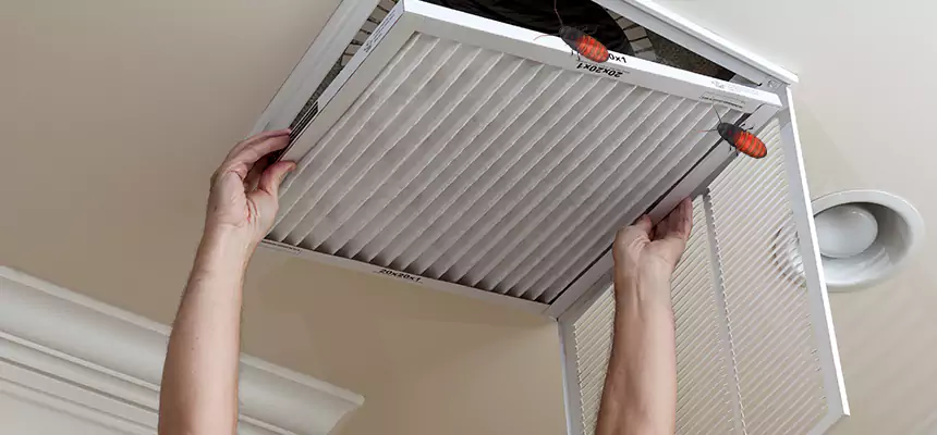 Preventive Cockroach-Proofing for Ducts in Independence