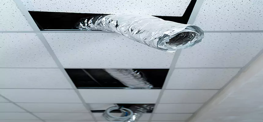 Our Air Duct Pet Hair Removal Services in Independence, MO