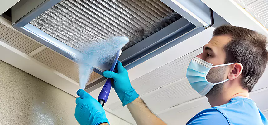 Proactive Dryer Vent & Auxiliary Duct Pollen Cleanup in Independence, MO