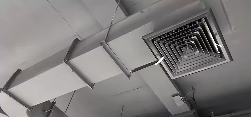 Restorative Allergy Relief Vent Cleaning – Coil, Blower & Housing Detail in Independence