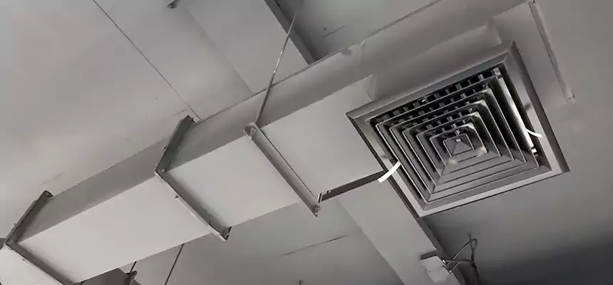 Our Rodent Droppings In Vents Services in Independence, MO