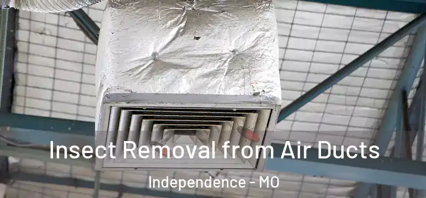  Insect Removal from Air Ducts Independence - MO