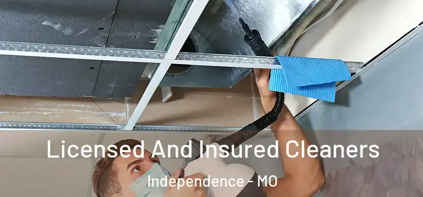  Licensed And Insured Cleaners Independence - MO
