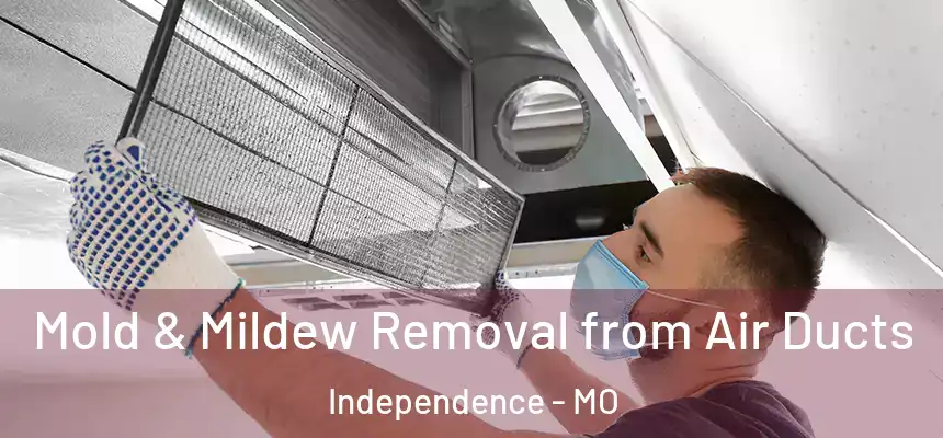 Mold & Mildew Removal from Air Ducts Independence - MO
