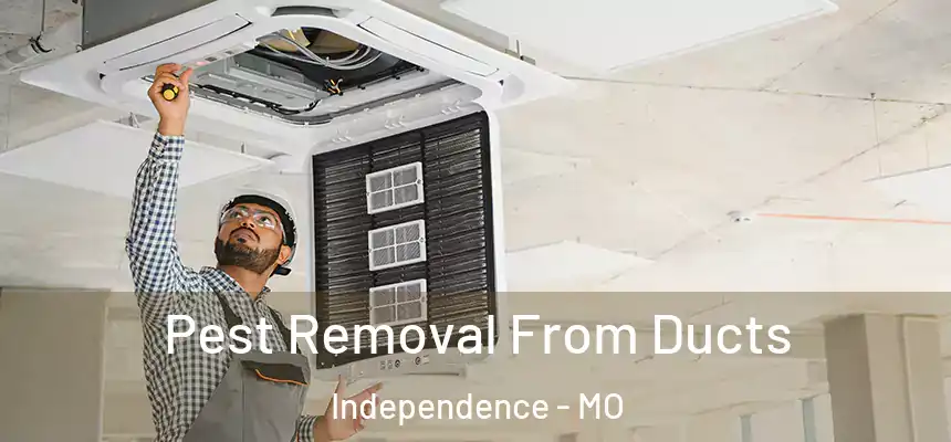 Pest Removal From Ducts Independence - MO