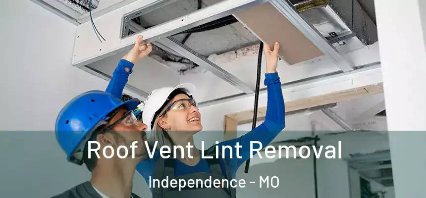  Roof Vent Lint Removal Independence - MO
