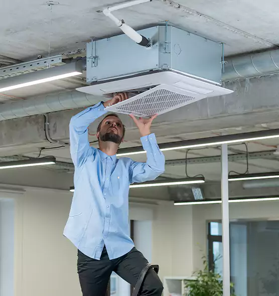 Advanced Rodent Droppings In Vents in Independence, MO