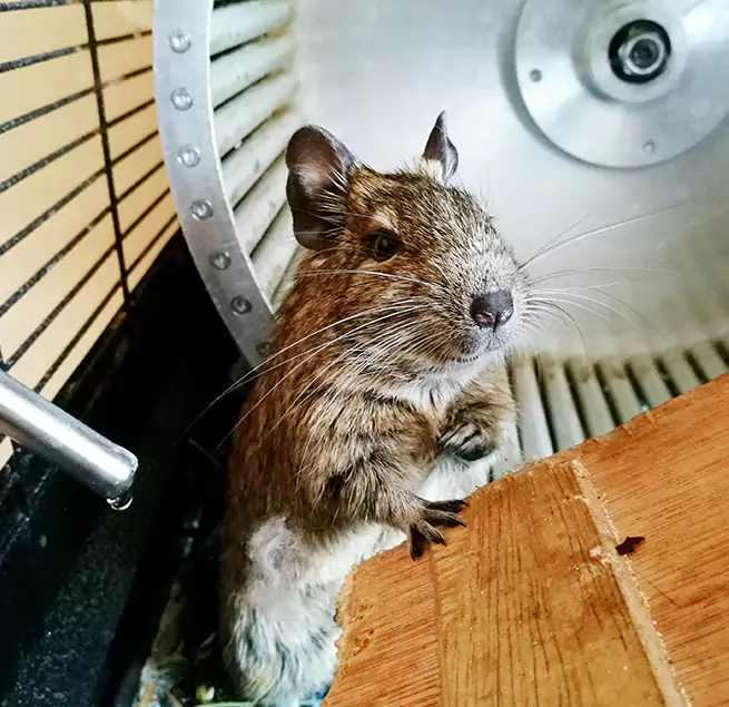 Why Homeowners & Businesses Trust Us Independence, MO?