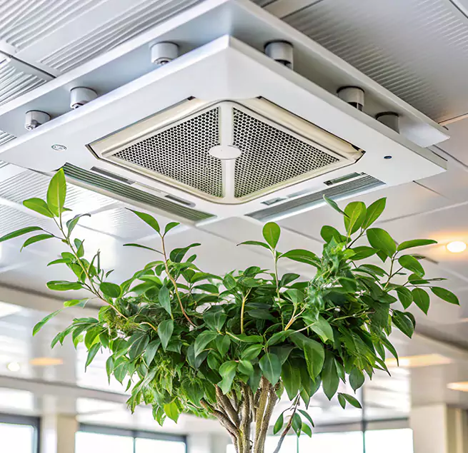 Why Homeowners & Businesses Trust Us in Independence, MO